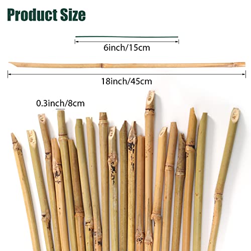 Aboofx Bamboo Garden Stakes, 20 Pieces 18 Inch Natural Bamboo Plant Stakes Garden Stakes Plant Support Stakes with 50 pcs Green Ties for Plants, Tomato, Bean, Flowers, and Climbing Plants Support