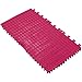 Maytronics 6101604 PVC Brush - Magenta