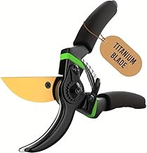 Jaccfy 8 Inch Gardening Scissors -Pack of 1 | Plants Scissor | Garden Shear Tree Branch Pruner | Gardening Cutter Tool | Plant Cutter for Home Garden | Wood Branch Trimmer (Green)