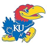 NCAA Team Logo Wall Decal