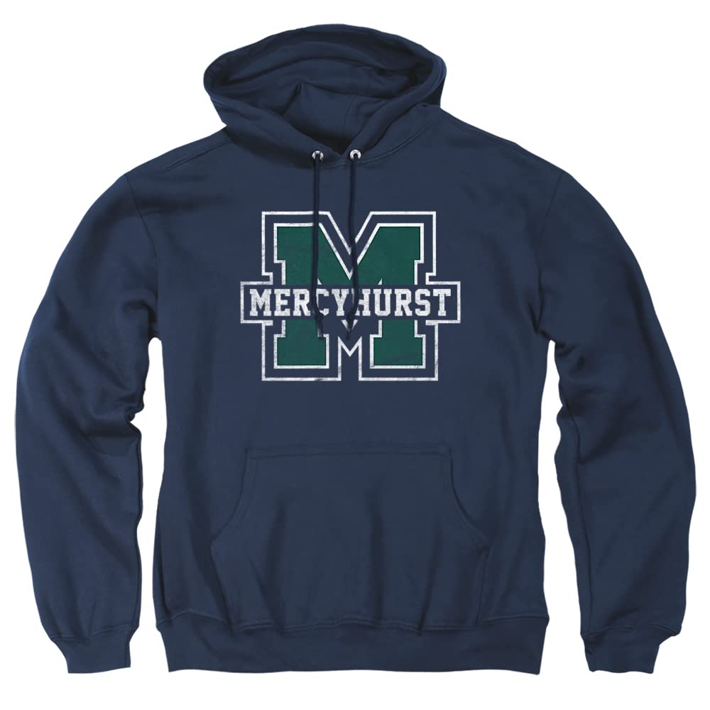 LOGOVISION Official Collegiate Distressed Primary Logo Adult Pullover Hoodie Collection — view 40