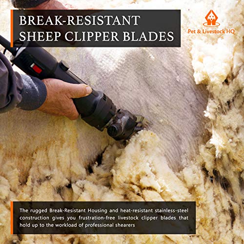 Pet & Livestock HQ | Shearing Blades 380W Sheep Clippers – Replacement for Oster, Lister, Heiniger, Detachable Animal Trimmer Shears for Grooming Goats, Lambs, Llamas, Alpacas Pet & Livestock HQ | Shearing Blades 380W Sheep Clippers – Replacement for Oster, Lister, Heiniger, Detachable Animal Trimmer Shears for Grooming Goats, Lambs, Llamas, Alpacas