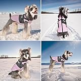 Lairle Hundemantel Winter Hundejacke Hundegeschirr Mantel Welpenmantel Jacke Weste Kleidung Kleines Hundegeschirr Hundemäntel für kleine mittelgroße Hunde