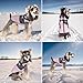 Lairle Hundemantel Winter Hundejacke Hundegeschirr Mantel Welpenmantel Jacke Weste Kleidung Kleines Hundegeschirr Hundemäntel für kleine mittelgroße Hunde
