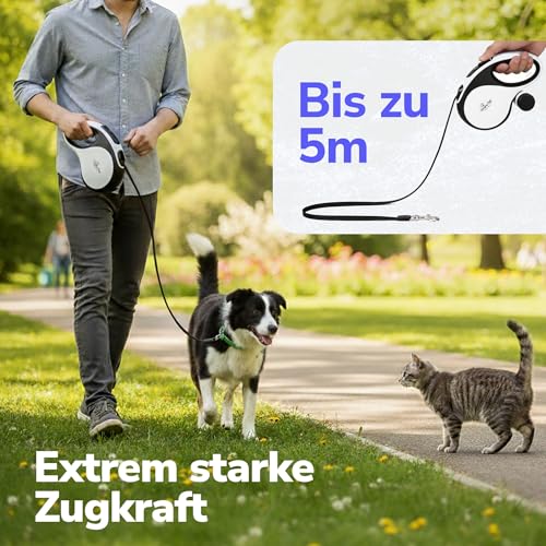 Zenova Pets Hundeleine 5 m – Rollleine mit Kotbeutelhalter – Ausziehleine für Hunde jeder Größe – Laufleine mit 360° Nylonband, Anti-Rutsch-Griff & Schnellbremsknopf – Leine für Hunde bis 30 kg