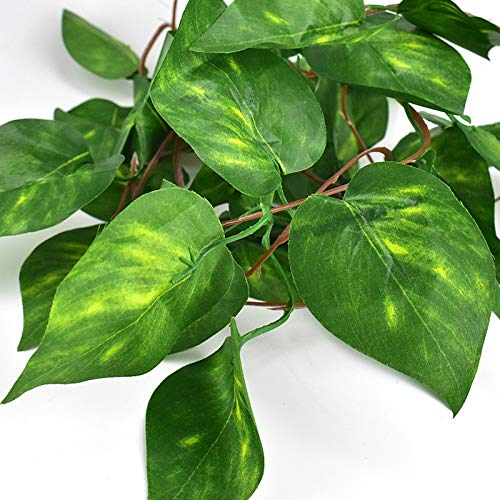Katumo Reptile Plants, Amphibian Hanging Plants With Suction Cup For Snake, Bearded Dragons, Lizards, Geckos, Toads, Hermit Crab Tank Pets Habitat Decorations #TOP7