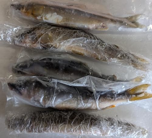 YixRE򕌌Yj VR ሼ  10 20`30  Y Ⓚ