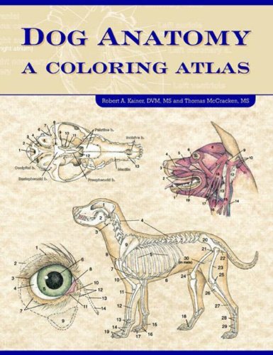 Dog Anatomy: A Coloring Atlas unknown Edition by Robert A. Kainer, Thomas O. McCracken (2002)