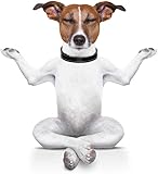 Masajeador Facial, Para Reafirmar el Cuello y el Rostro