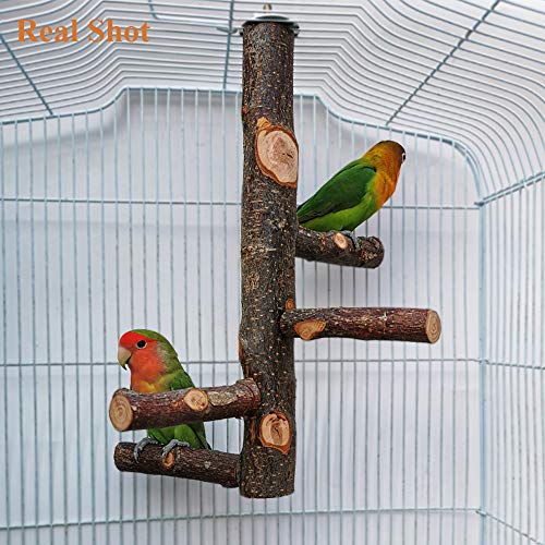 image for kathson Parrots Perch Natural Fruit Wood Stand Toy Branch Paw Grinding