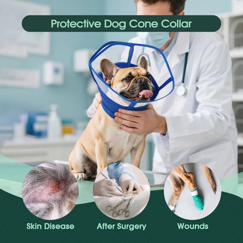 Image of Kuoser Dog Cone Collar After Surgery, Soft Cone for Dogs to Stop Licking, L | Breathable Dog Recovery Collar Comfortable Elizabethan Collars, Adjustable Protective Pet Cones for Small Medium Large Dogs