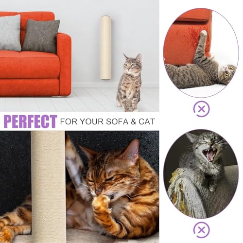 Image of Wall Mounted Cat Scratching Post for Indoor Cats | Kitten Wall Shelves Climbing Furniture| Sisal Rope Cat Claw Scratcher Tree (Wall Mount)
