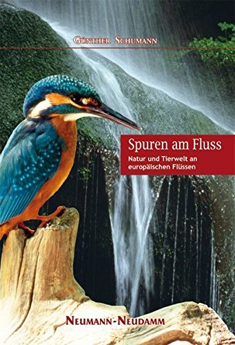 Spuren am Fluss Spuren am Fluss