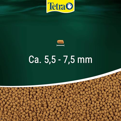 Tetra ReptoMin Energy Schildkröten-Futter - ausgewogenes, nährstoffreiches Premiumfutter mit Krill & Garnelen, 250 ml Dose