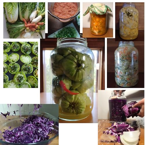 Fermentiergläser Myferments Kimchi Behälter 4L