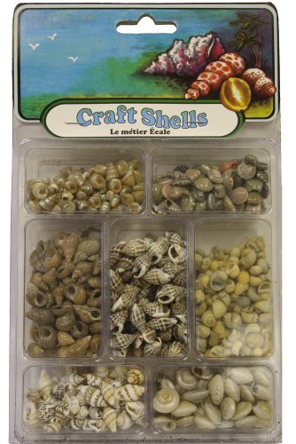 U.S. Shell, Inc. Extra Tiny Mixes Collection - Wall Art - Beads - Sea Shells Theme - Unisex - Cottage, Rustic Style - Living Room, Bedroom