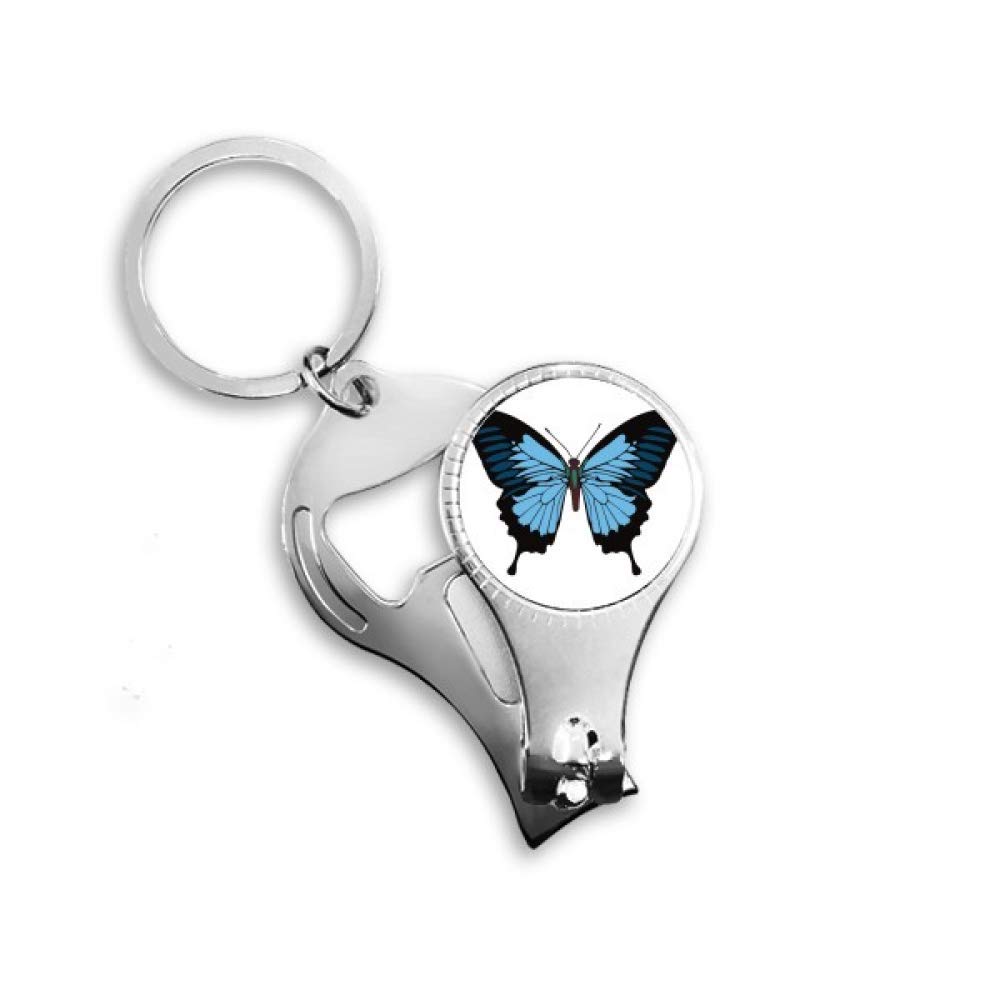 Porte-clés avec spécimens de papillon bleu foncé pour clés et sacs
