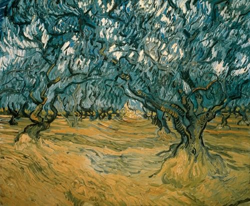 Pintura Lienzo Mural Ulivi di Vincent Van Gogh Cuadro Decorativo 60x90cm para Pared Dormitorio