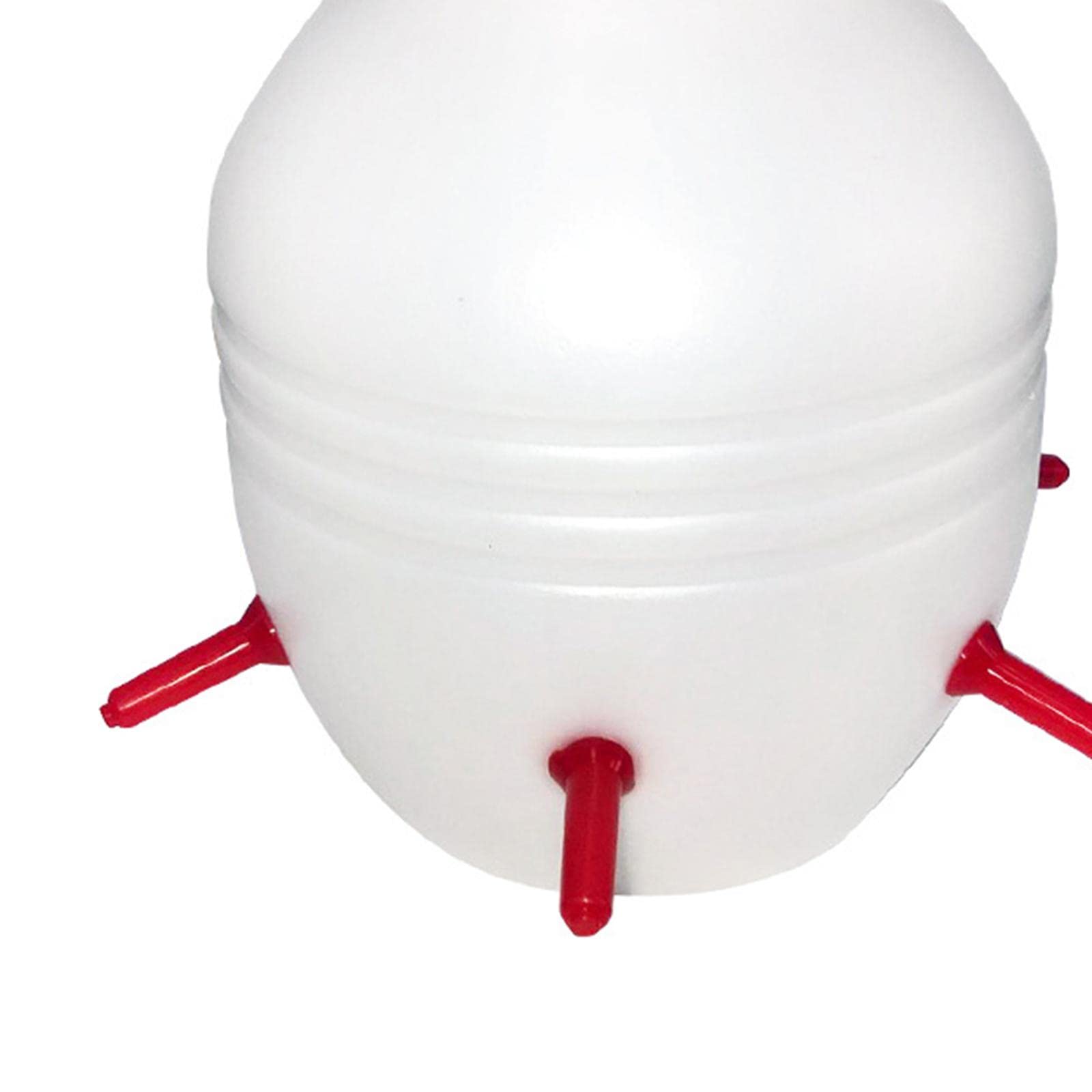 Comedero para Corderos con Cubo, Biberón Y Accesorios de Gran Capacidad de 6-8 Litros para La Alimentación.