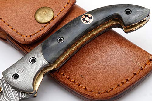 Shiny Crafts | Handmade Damascus Pocket Knife For Men | Folding Knife With Liner Lock | Bushcraft Knife For Fishing, Camping, Hiking | Damascus Steel Hunting Knife With Sheath | Camping Knife With Premium Leather Sheath With Belt Loop (Fk-20) #TOP3