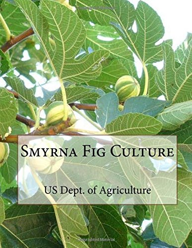 Smyrna Fig Culture