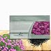 Outsidepride Dianthus Cheddar Pink - 1000 Seeds