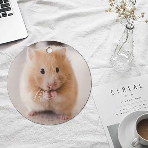 Vista 24 de Adorno de Navidad de gato atigrado decorativo colgante adorno de árbol de Navidad, adornos de recuerdo de Navidad, adornos de recuerdo de 3 pulgadas