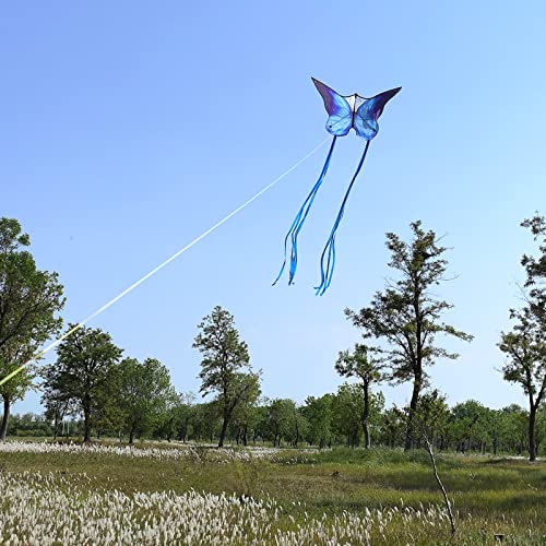 image for Kaiciuss 2 Pack Butterfly Kites for Kids and Adults Easy to Fly, Large