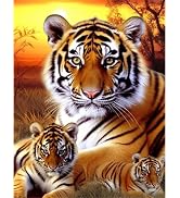 LOMSIOY Diamond Painting Pendentif Chat Étoilé 20x20 Cm – Attrape-Soleil Diamant Double Face, Chaîne Incluse, Déco Fenêtre/Murale