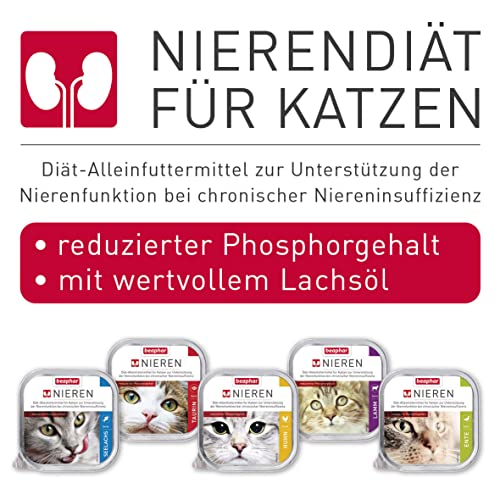 BEAPHAR – Nierendiät Seelachs – Diätalleinfuttermittel Für Katzen Mit Chronischer Niereninsuffizienz – Zur Unterstützung Der Nierenfunktion – 100 g