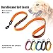 PETTOM Hundeleine Reflektierend Leine aus Nylon mit Weich Gepolsterter Griff und Metallhaken für Training, Robuste Leine Hund für Kleine Mittel Große Hunde (Orange 110 cm)