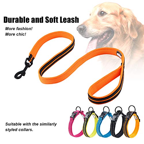 PETTOM Hundeleine Reflektierend Leine aus Nylon mit Weich Gepolsterter Griff und Metallhaken für Training, Robuste Leine Hund für Kleine Mittel Große Hunde (Orange 110 cm)