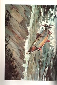 Hardcover The Wind on Your Cheek Book