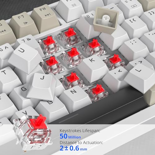 Image of 75% Mechanical Gaming Keyboard with Volumn Knob, Gasket Hot Swappable RGB, Wired, Red Switch, 82 Keys Compact Creamy (Black Grey)
