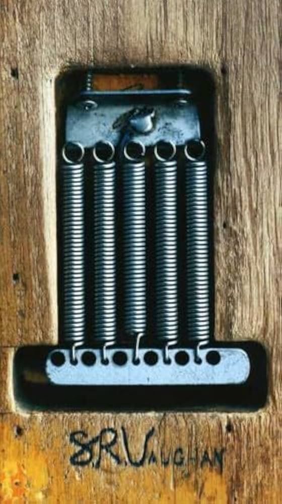 Srv-Box Set: Double Trouble, Stevie Ray Vaughan: Amazon.ca