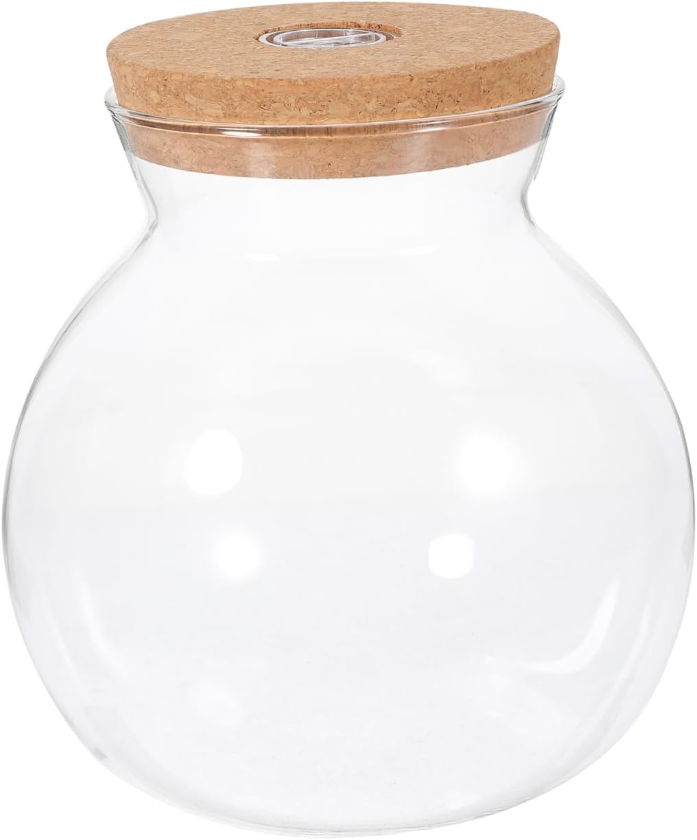 Small Fish Tank with LED Light, High Borosilicate Glass Betta Fish Tank for Desktop, Mini Aquarium Kit for Micro Landscape, 1 Gallon Ecological Bottle with Wooden Lid for Office