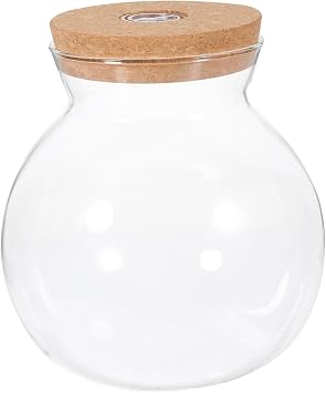 Hemobllo Small Fish Tank with LED Light, High Borosilicate Glass Betta Fish Tank for Desktop, Mini Aquarium Kit for Micro Landscape, 1 Gallon Ecological Bottle with Wooden Lid for Office