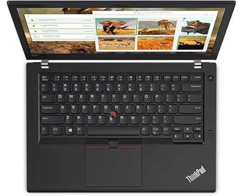 Lenovo Thinkpad T480 14" Hd Business Laptop, Intel Core I5-8350U Up To 3.20Ghz, 16Gb Ddr4 Ram, 960Gb Ssd, Hdmi, Type-C, Usb 3.0, Sd Card Reader, Windows 10 Pro 64-Bit (Renewed) #TOP2