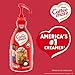 Nestle Coffee mate Coffee Creamer, Peppermint Mocha, Concentrated Liquid Pump Bottle, Non Dairy, No Refrigeration, 50.7 oz (Pack of 2)