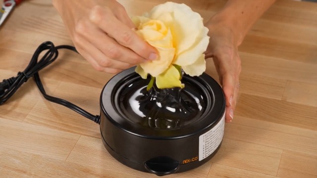 Amazon.com: NEX&CO Glue Skillet for Crafting, 60W Electric Hot