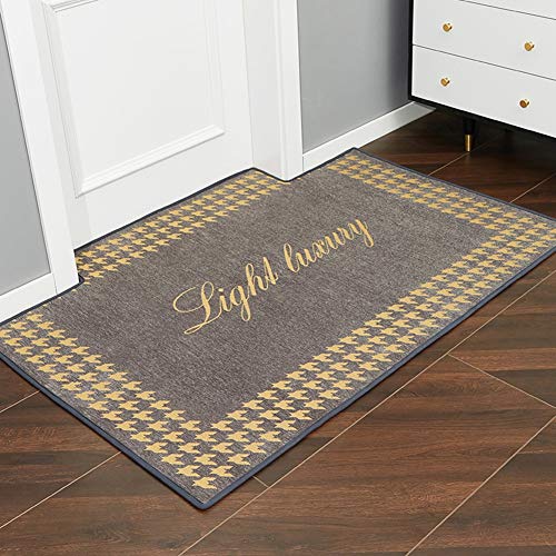 Moquettes de porte style classique simple et tapis d'entrée résistant lavable