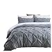 Slashome Duvet Cover Queen, 3Pcs Pinch Pleat Luxurious Decorative Softest Grey Brushed Microfiber Bedding Set with Zipper Closure and Corner Ties