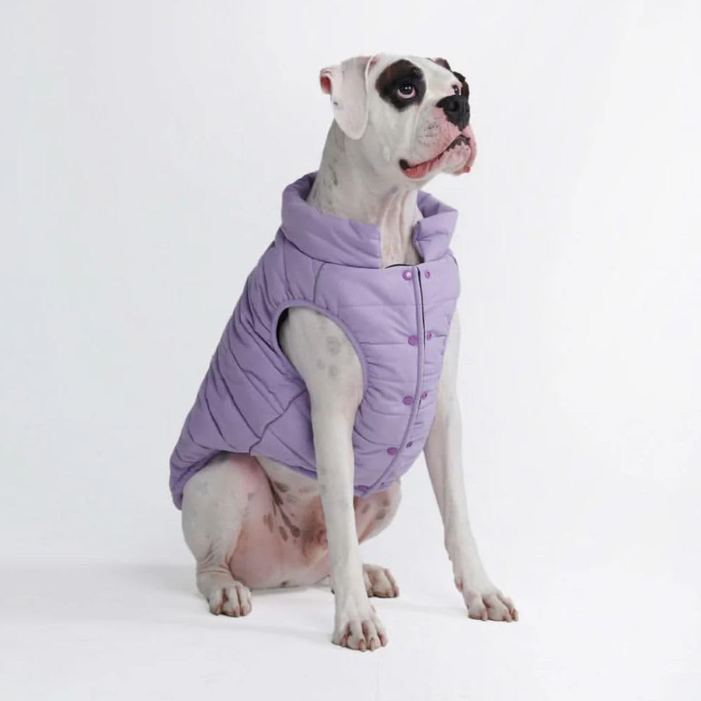 Photo 1 of  Spark Paws Dog Winter Jacket, Water-Resistant Coat, Warm Reflective Windproof Fleece-Interior, for Medium and Large Dogs - Lilac - 3XL 