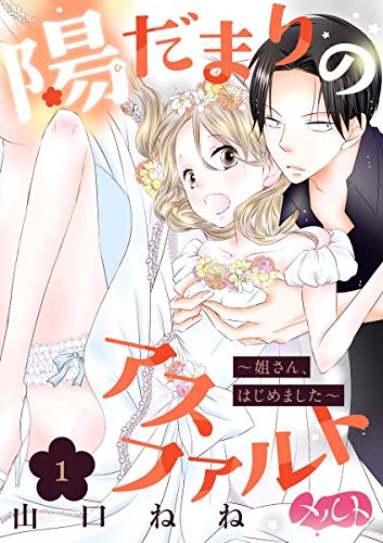 陽だまりのアスファルト ～姐さん、はじめました～（１） (メルト)