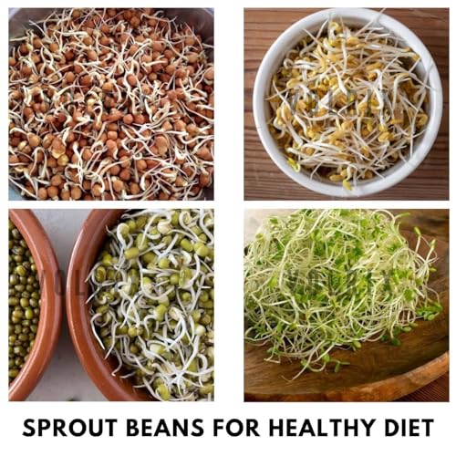 Image of KESI ORNAMENTS Sprout Maker With 4 Compartments For Multi Purpose Use - Plastic Grocery Container Sprouted Grains Jar (500Ml,4-Layer)