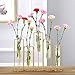 Hinged Flower Vases Test Tube Flower Vase with 5 Test Tubes Gold Metal Frame can be Bent and Contorted, Propagation Station Plant Holder Tubos De Ensayo for Home Wedding Decor, Balcony