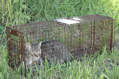 Tru Catch 30LTD Humane Live Animal Trap - Easy & Safe Catch & Release for Cats, Rabbits, & Other Small Animals - Durable Light Duty TNR - (30" L x 11" H x 9" W)