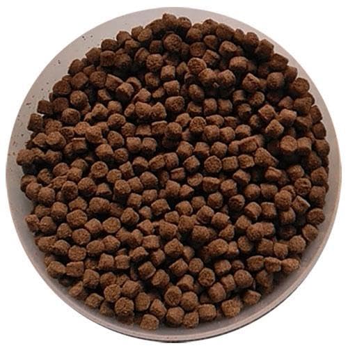 Amazon.co.jp: 日清丸紅飼料おとひめEP4沈降性(3.4～4.0mm)500g