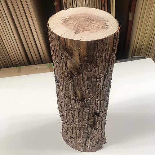쓇ޖؓX O ۑ 62cm a20cm  ۑ֎q JE^[e[ur fBXvC i` R K[f DIY