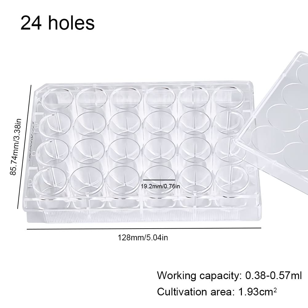 10 Stück Sterile Kulturplatten TC-behandelte Zellkulturplatten Gewebekultur-behandelte Platten Einzeln Verpackt für Laborzwecke, 24 Löcher